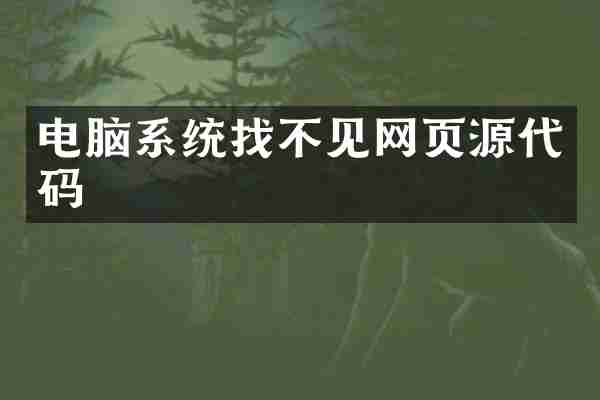 电脑系统找不见网页源代码