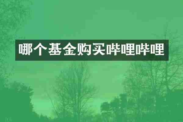哪个基金购买哔哩哔哩