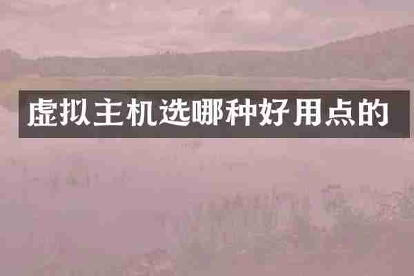 虚拟主机选哪种好用点的