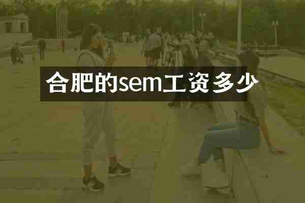 合肥的sem工资多少