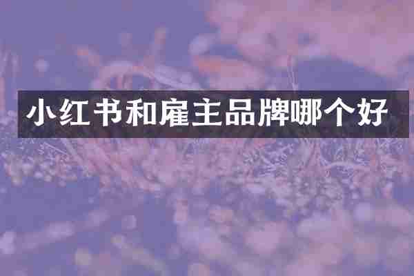 小红书和雇主品牌哪个好