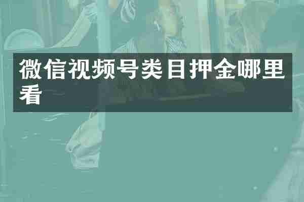 微信视频号类目押金哪里看
