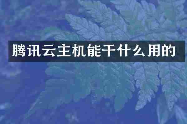 腾讯云主机能干什么用的