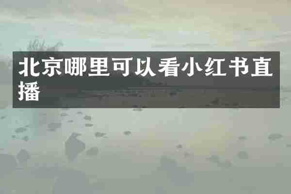 北京哪里可以看小红书直播