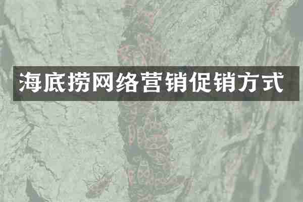 海底捞网络营销促销方式
