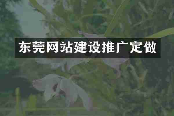 东莞网站建设推广定做