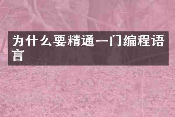 为什么要精通一门编程语言