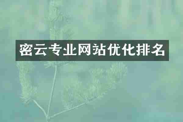 密云专业网站优化排名