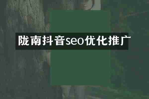 陇南抖音seo优化推广