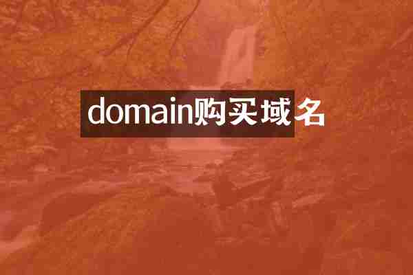 domain购买域名