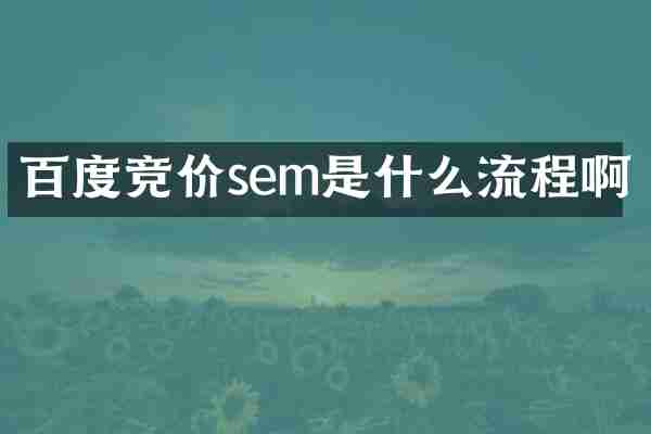 百度竞价sem是什么流程啊