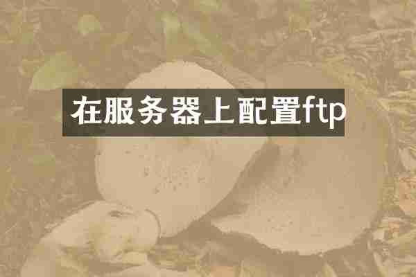 在服务器上配置ftp
