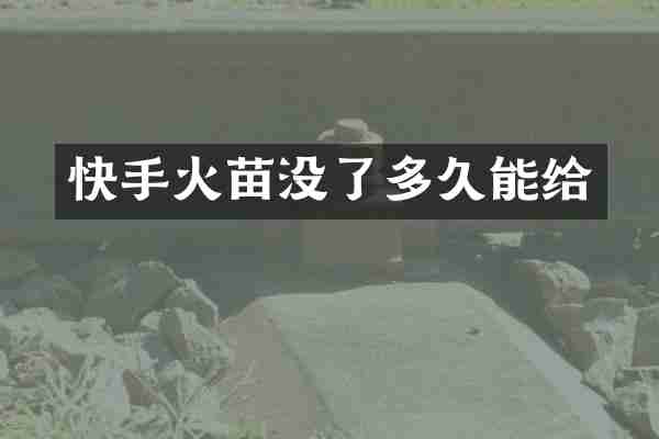 快手火苗没了多久能给