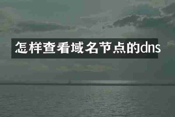怎样查看域名节点的dns