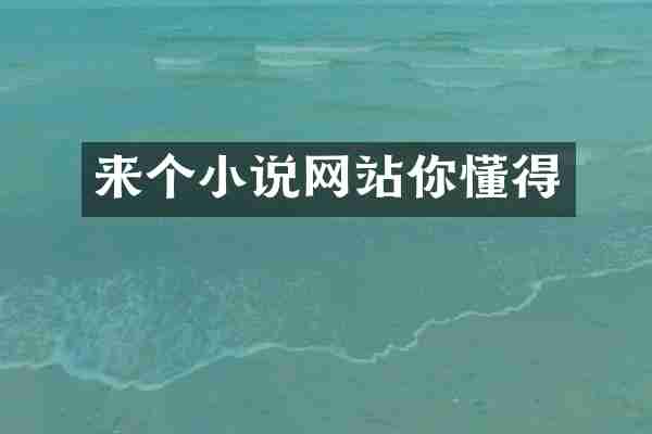 来个小说网站你懂得