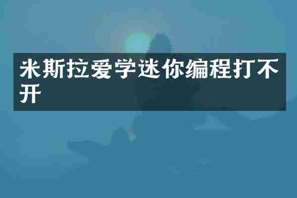 米斯拉爱学迷你编程打不开