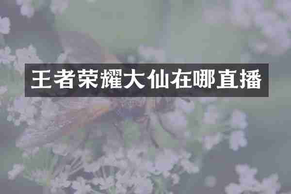 王者荣耀大仙在哪直播