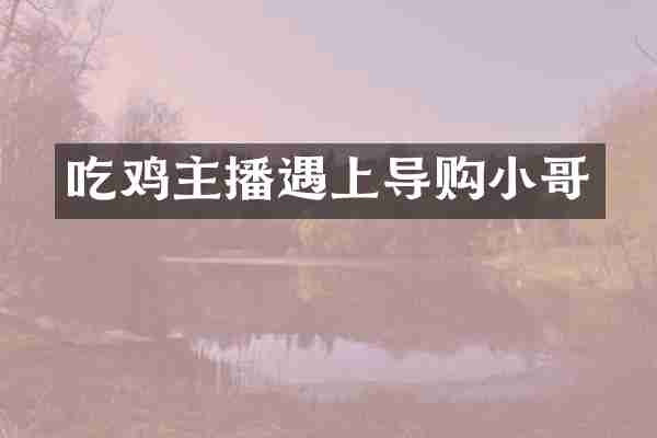 吃鸡主播遇上导购小哥