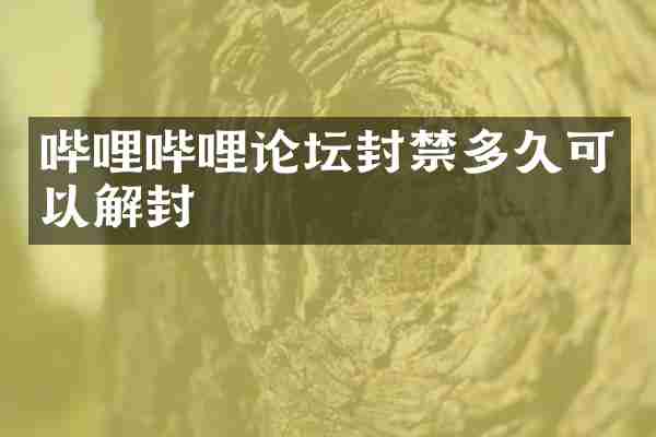 哔哩哔哩论坛封禁多久可以解封