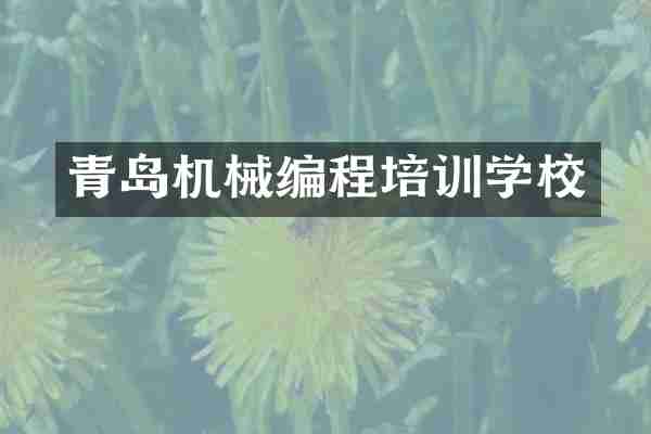 青岛机械编程培训学校