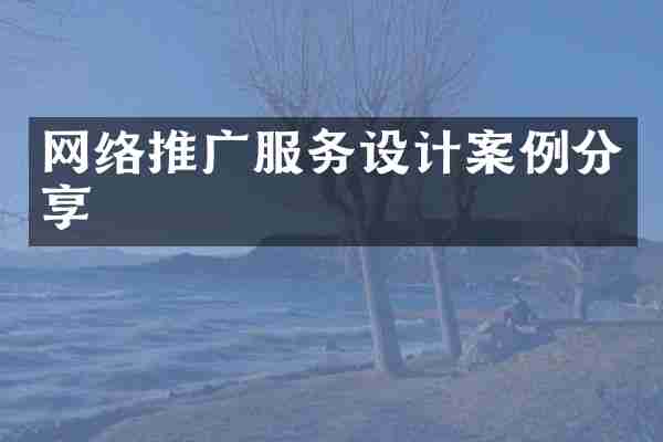 网络推广服务设计案例分享