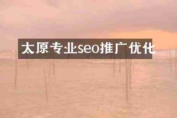 太原专业seo推广优化
