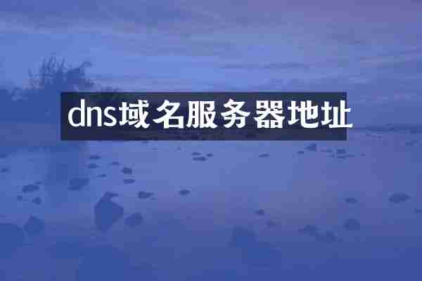 dns域名服务器地址