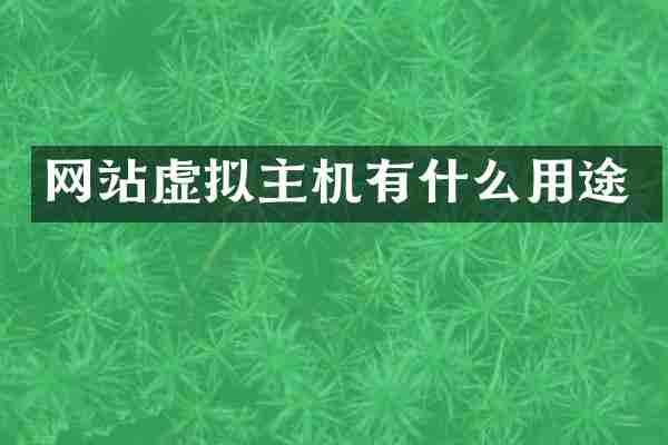 网站虚拟主机有什么用途