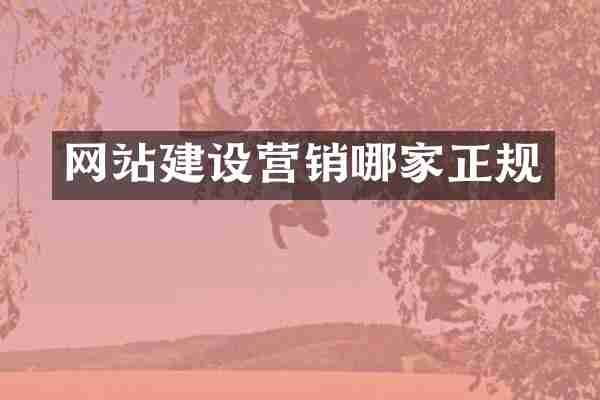 网站建设营销哪家正规