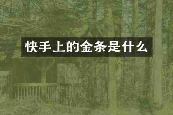 快手上的金条是什么