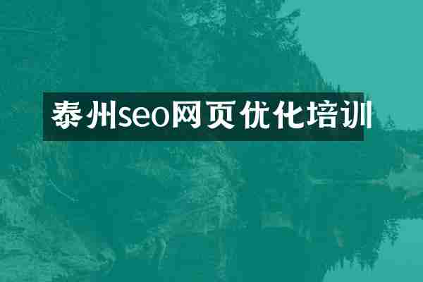 泰州seo网页优化培训