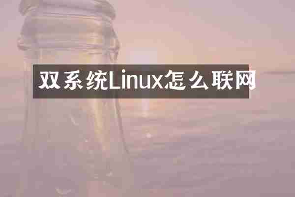 双系统Linux怎么联网