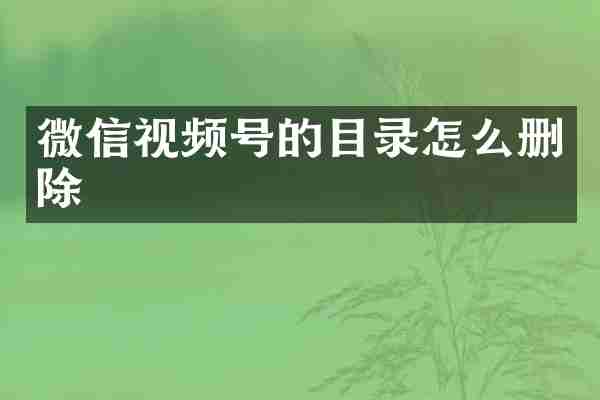 微信视频号的目录怎么删除
