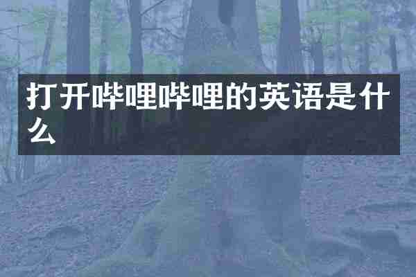 打开哔哩哔哩的英语是什么