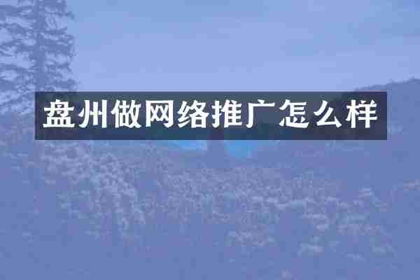 盘州做网络推广怎么样