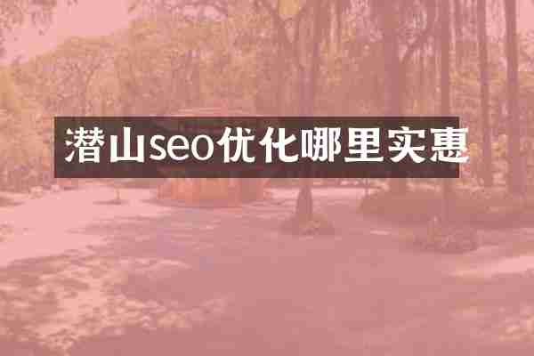 潜山seo优化哪里实惠