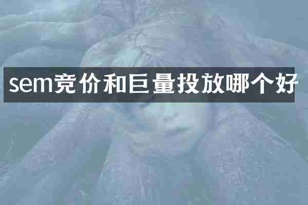 sem竞价和巨量投放哪个好