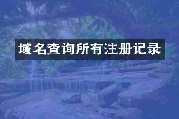 域名查询所有注册记录