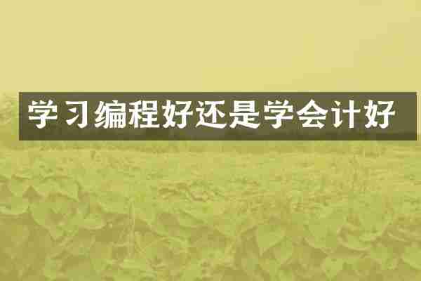 学习编程好还是学会计好