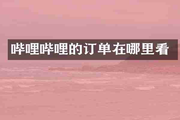 哔哩哔哩的订单在哪里看