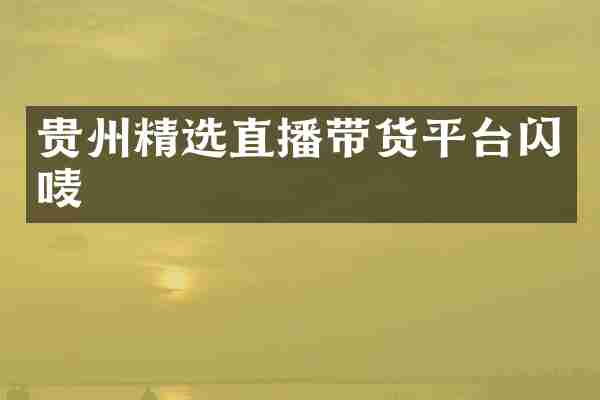 贵州精选直播带货平台闪唛