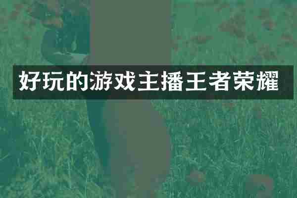 好玩的游戏主播王者荣耀