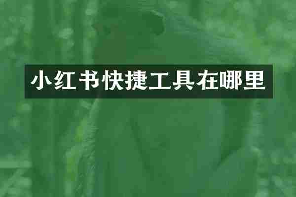 小红书快捷工具在哪里