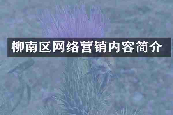 柳南区网络营销内容简介