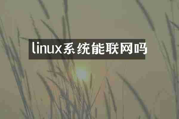 linux系统能联网吗