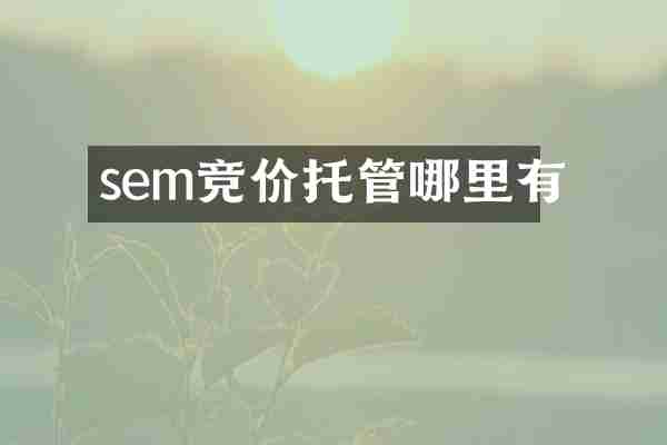 sem竞价托管哪里有