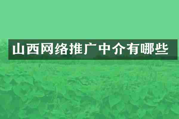 山西网络推广中介有哪些