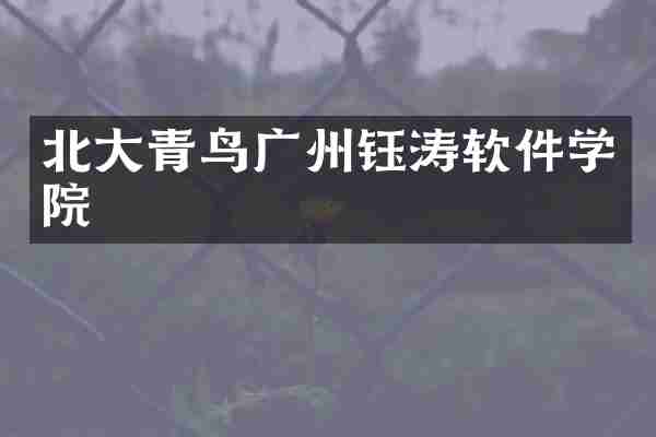 北大青鸟广州钰涛软件学院