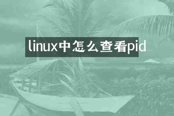 linux中怎么查看pid