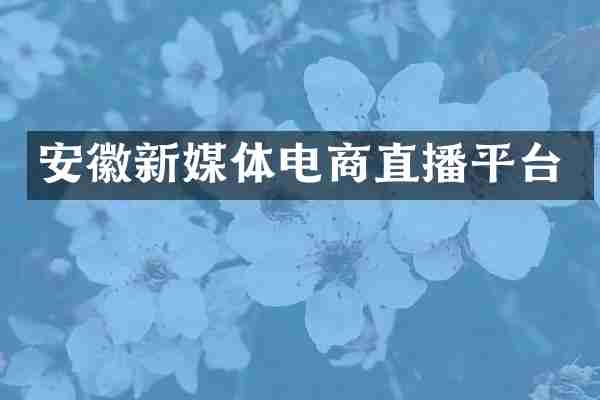 安徽新媒体电商直播平台